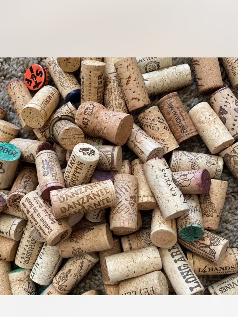 Natural Cork Wine Stoppers - Mixed Neutral Beige